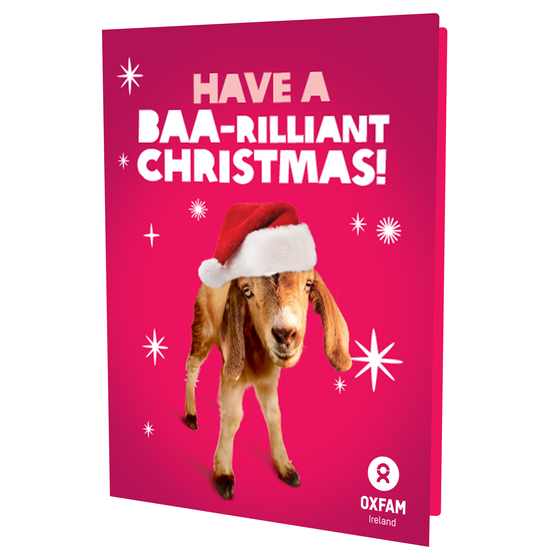 Goat for Christmas