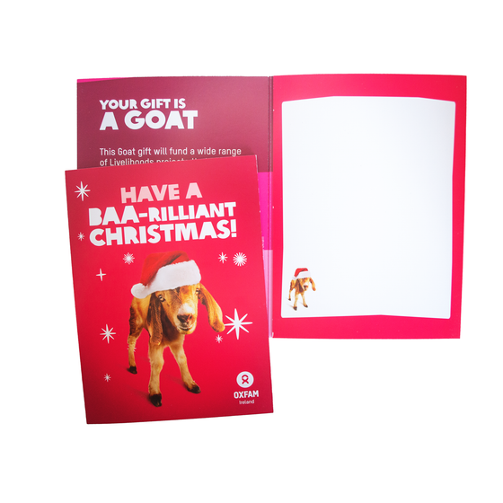 Goat for Christmas