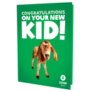 Congratulations on your new KID - thumbnail