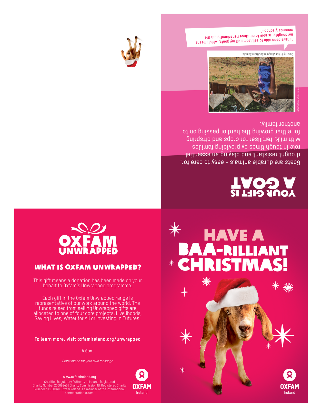 Goat for Christmas – Oxfam Ireland Uwrapped