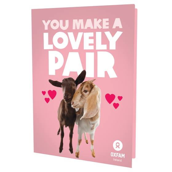 You Make a Lovely Pair (Goats)